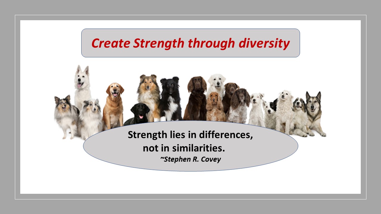 Team strength through diversity